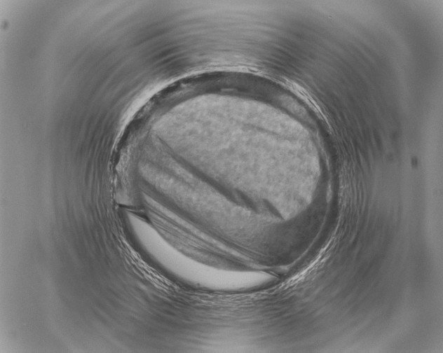 X0000058760926200510211654