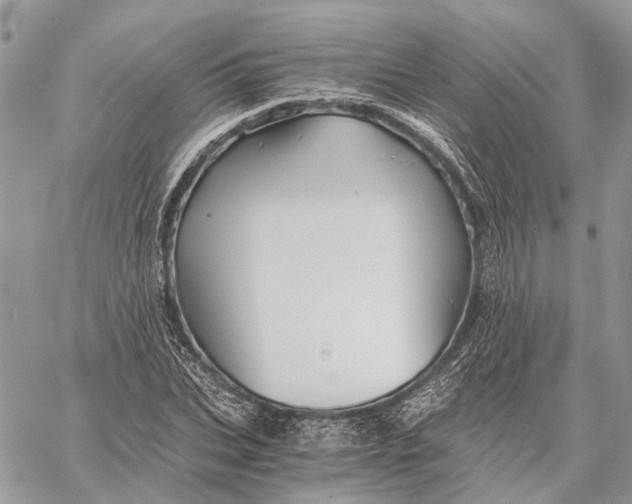 X0000058760927200510211654