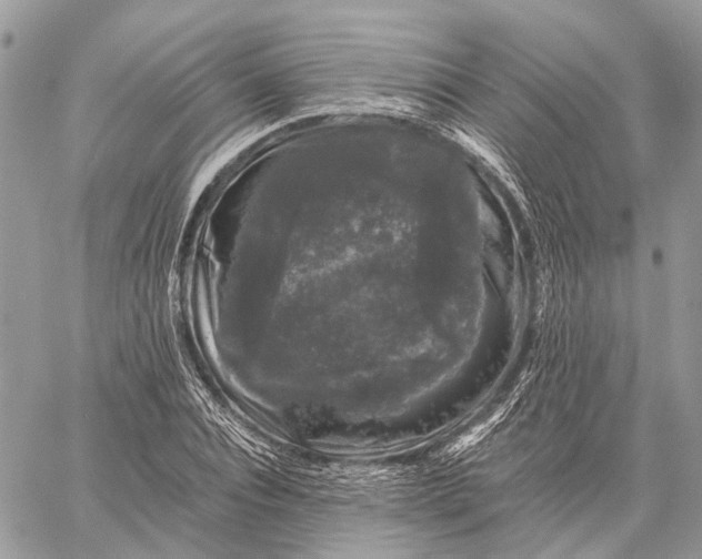 X0000058760928200510211654