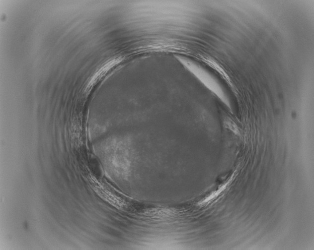 X0000058760930200510211654