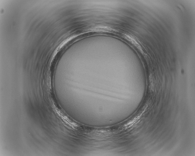 X0000058760931200510211654