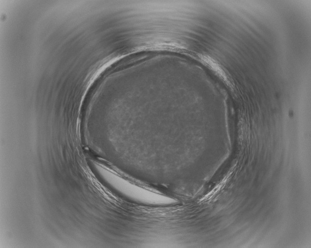 X0000058760932200510211654