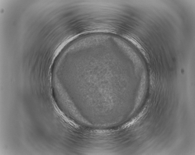 X0000058760933200510211654