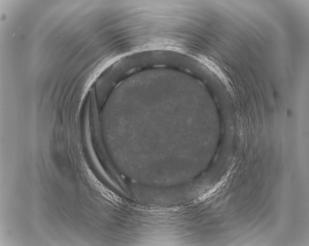 X0000058760934200510211654