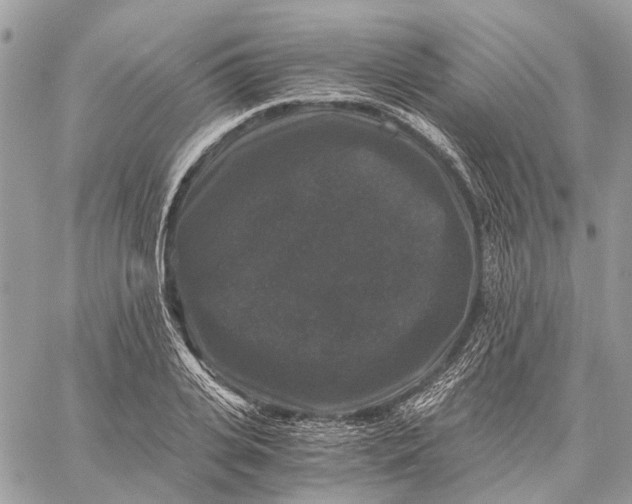 X0000058760935200510211654