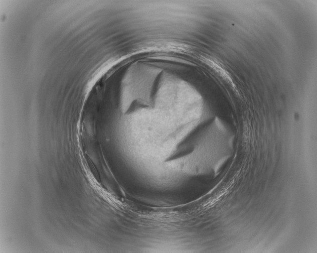 X0000058760936200510211654