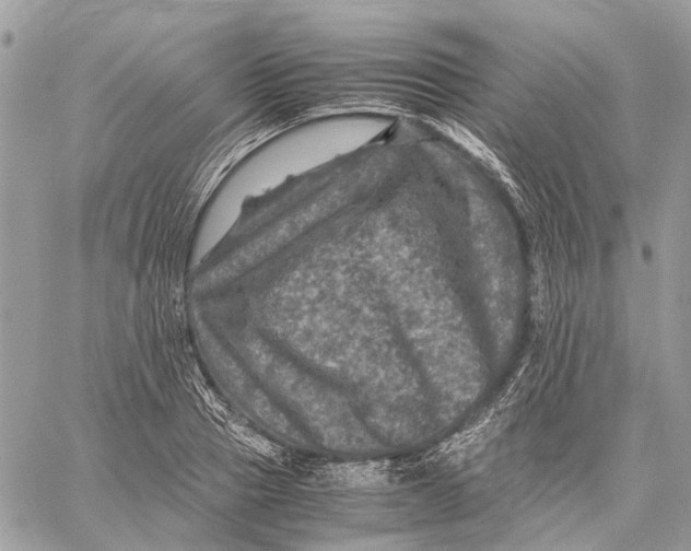 X0000058760937200510211654