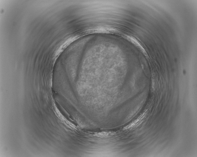 X0000058760938200510211654