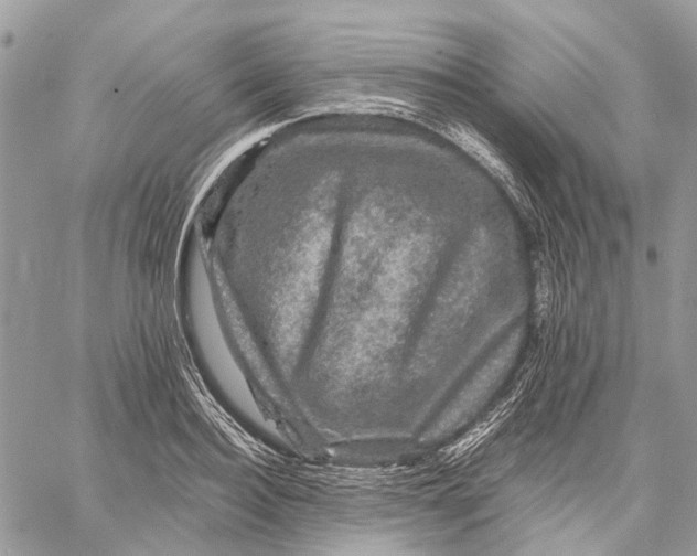 X0000058760940200510211654