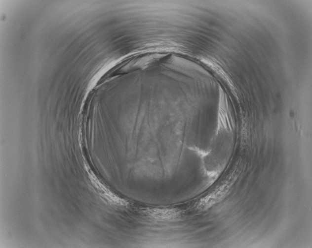 X0000058760941200510211654