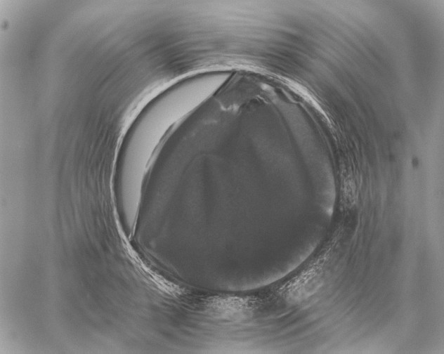 X0000058760943200510211654