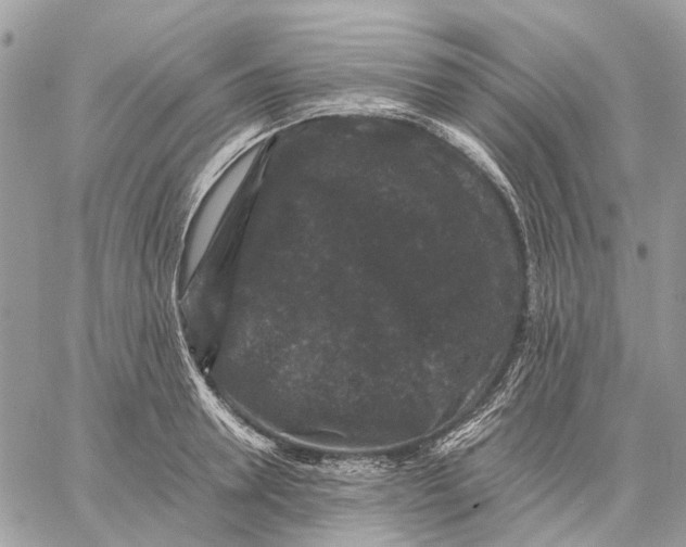 X0000058760946200510211654