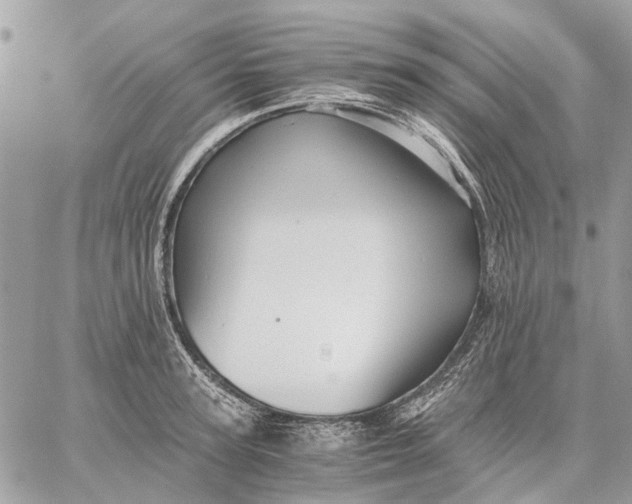 X0000058760947200510211654