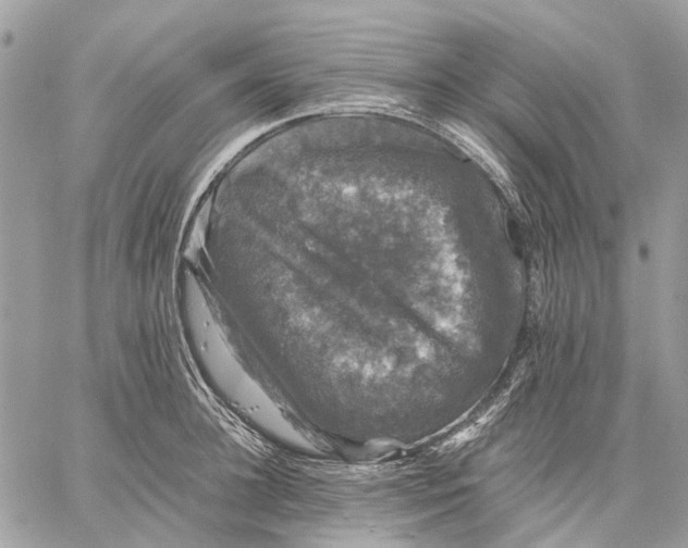 X0000058760948200510211654