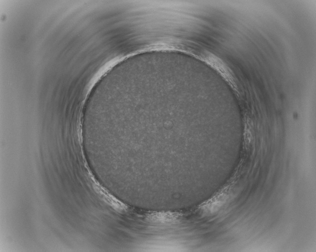 X0000058760950200510211654