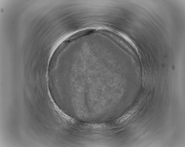 X0000058760951200510211654