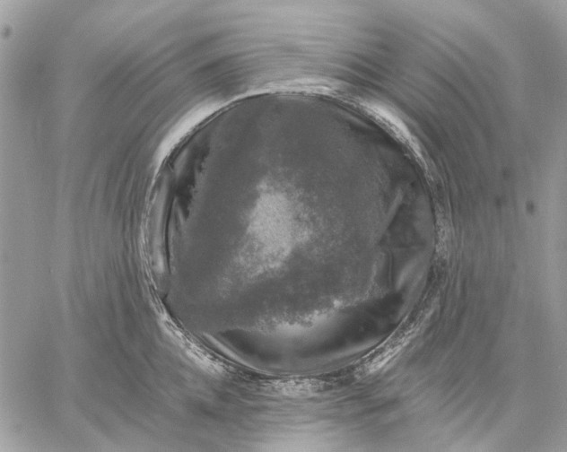 X0000058760952200510211654