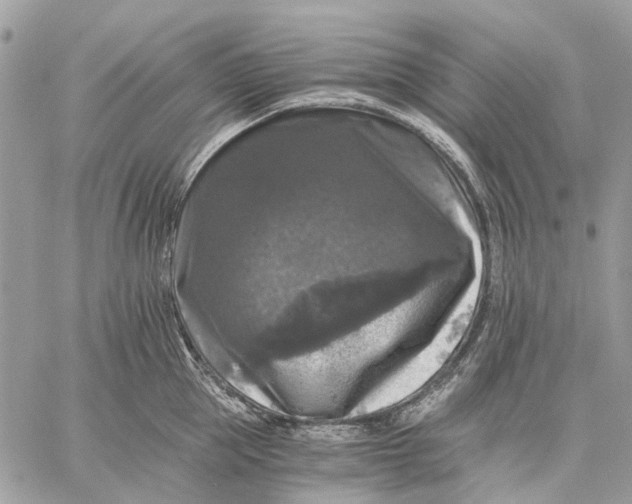 X0000058760953200510211654