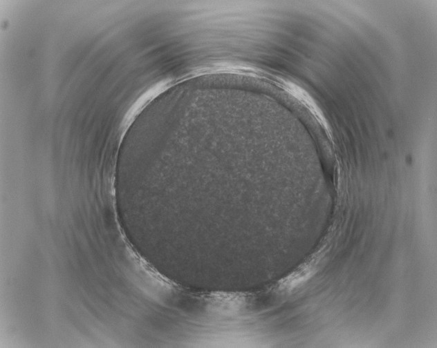 X0000058760954200510211654