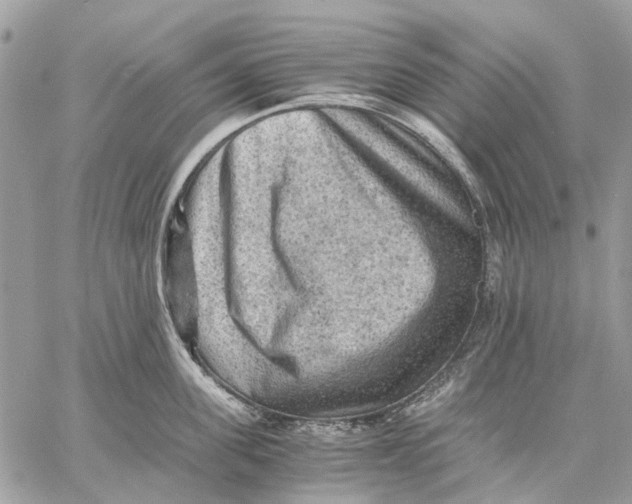 X0000058760955200510211654