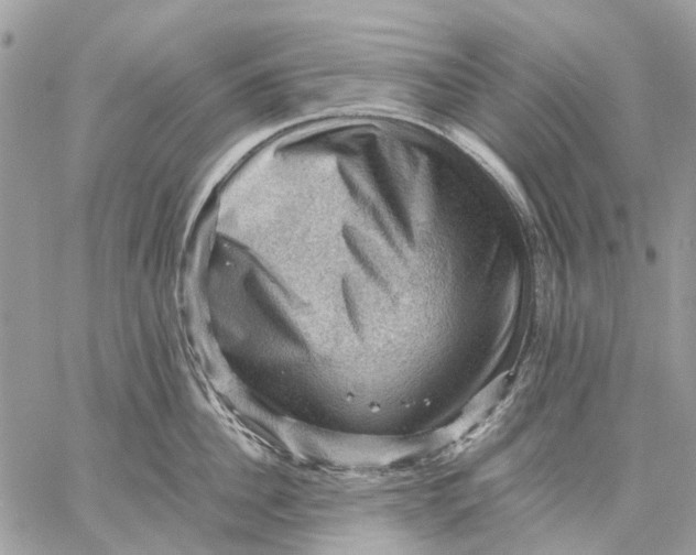 X0000058760956200510211654