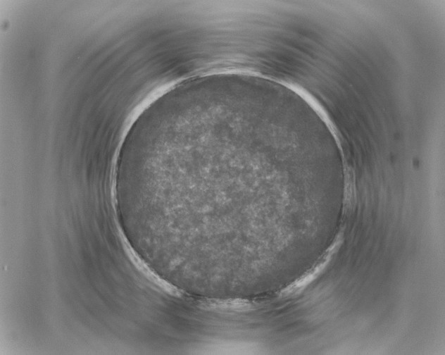 X0000058760957200510211654