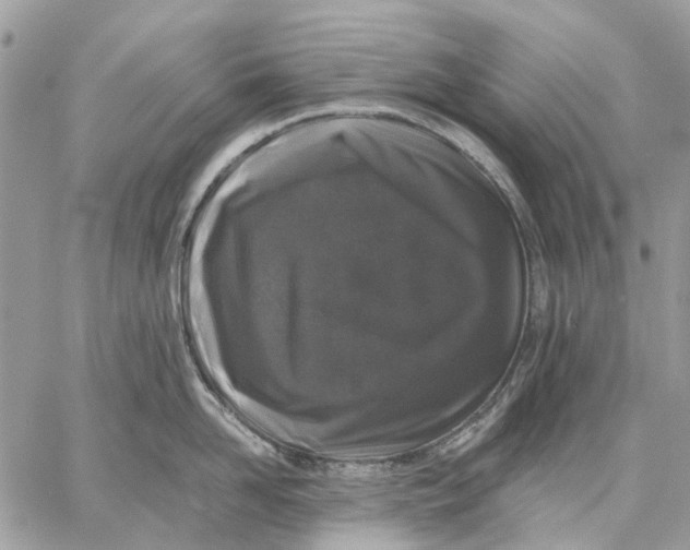 X0000058760958200510211654