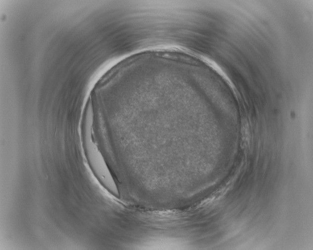 X0000058760959200510211654