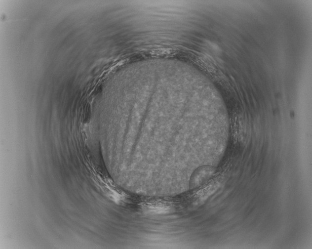 X0000058760962200510211653