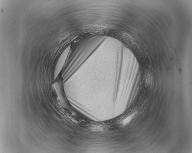 X0000058760964200510211653