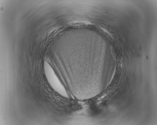 X0000058760965200510211653