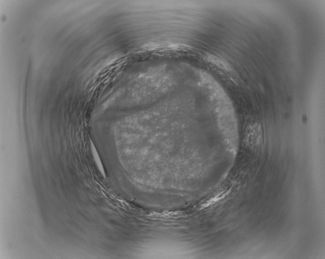 X0000058760966200510211653