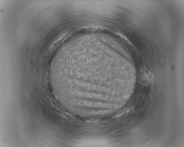 X0000058760967200510211653