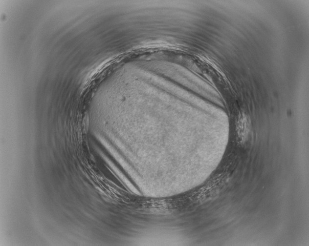 X0000058760968200510211653