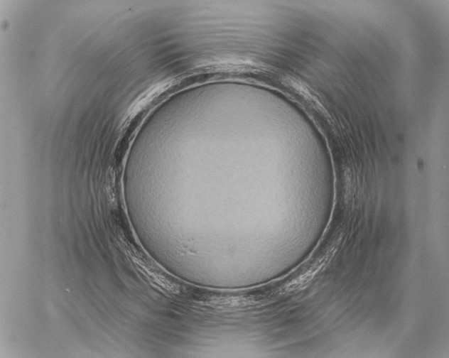 X0000058760970200510211653