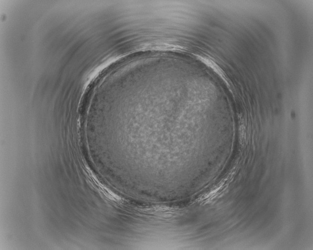 X0000058760971200510211653