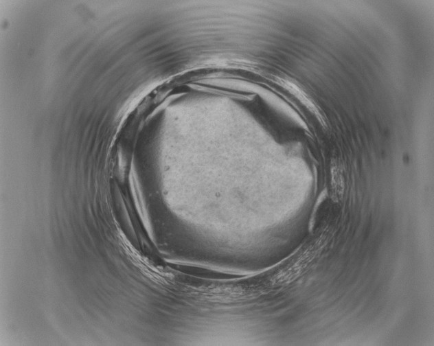 X0000058760972200510211653