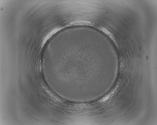 X0000058760973200510211653