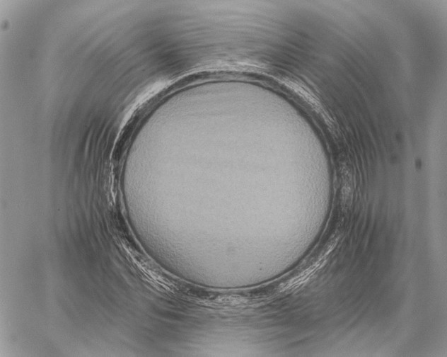 X0000058760974200510211653