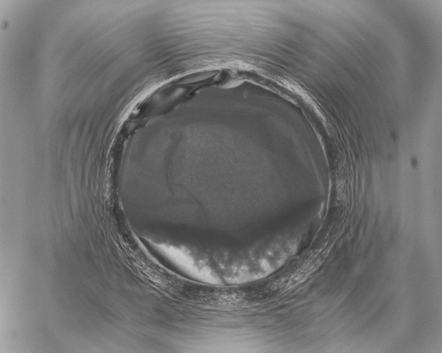 X0000058760975200510211653