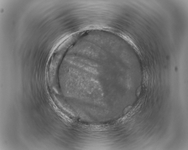 X0000058760976200510211653