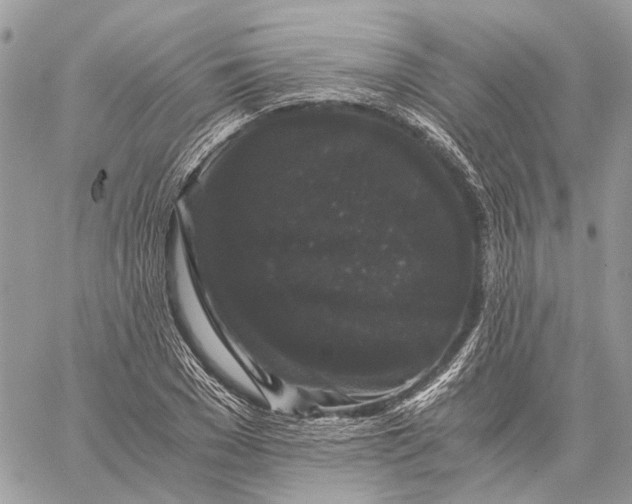 X0000058760977200510211653