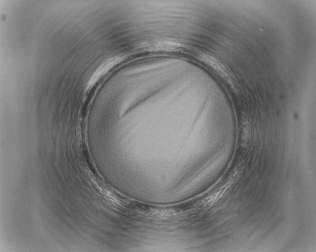 X0000058760978200510211653