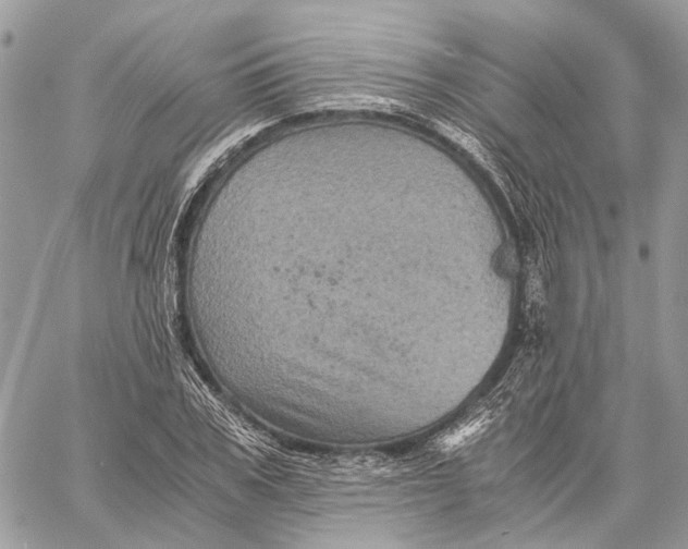 X0000058760979200510211653