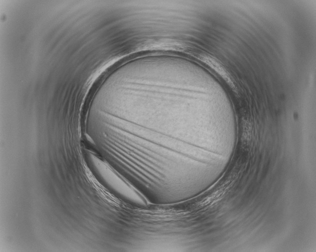 X0000058760980200510211653