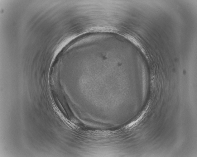 X0000058760981200510211653