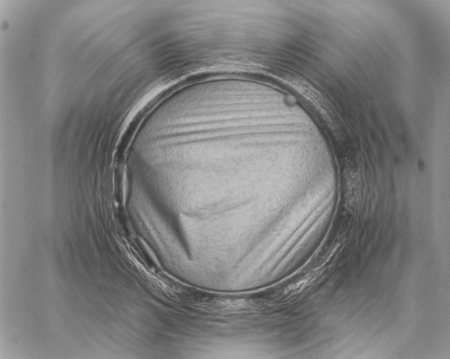 X0000058760982200510211653