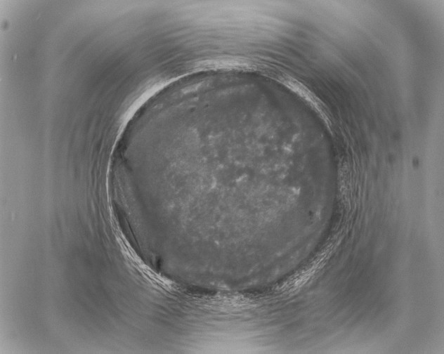 X0000058760983200510211653