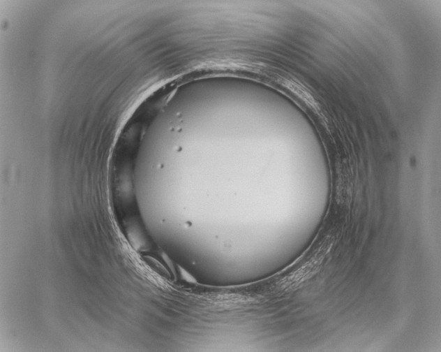 X0000058760984200510211653