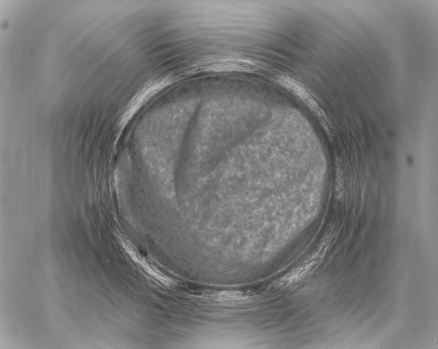 X0000058760986200510211653